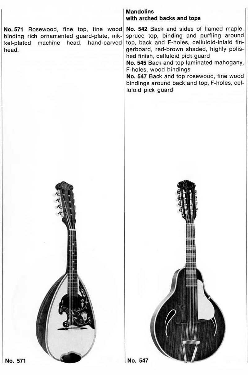 mandolin3d.jpg