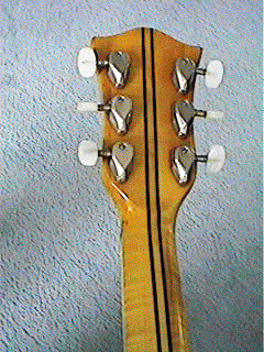 committee rear neck.gif - 45Kb